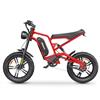 Hidoes Bici elettrica Hidoes B6 con batteria da 48 V 15,6 Ah 1 St