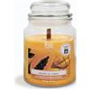 Magic Lights Candela Profumata Grande 510g Papaya Mango - Giara in Vetro con Stoppino in Legno Scoppiettante, Cera Vegetale 75%, 90 Ore, Made in Italy - Magic Lights