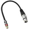 Be In Your Mind RCA Femmina a XLR 3 Pin Femmina Convertitore Adattatore Cavo 30cm per Mixer Amplificatore Attrezzatura di Registrazione Pro Audio Microfoni