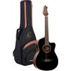 Ortega Guitars NYLON 6-STR. GUITAR ORTEGA
