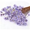 RUGBOL 100 rami di piccoli fiori a stella, fiori a stella brasiliani viola per resina fai-da-te, scrapbooking, creazione di gioielli e decorazioni floreali