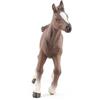 Papo - Statuina Puledro Anglo-Arabo Realistica - 3 Anni + - Collezione Cavalli e Pony - Gioco Creativo Mondo Equestre - Idea Regalo Giocattolo Bambina Bambino
