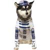 Star Wars - Costume R2-D2 per animali domestici, S (Rubie's Spain 888249-S)