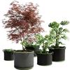 Avilia - 5 Contenitori per Orto in Tessuto Traspirante con Manici Resistenti, Ideali per Orto, Fiori e Piccoli Alberi, Facili da Spostare e con Drenaggio Naturale per una Crescita Sana delle Piante