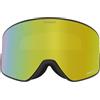 Dragon Alliance Dragon Unisex Snowgoggles PXV2 with Bonus Lens - Anthracite with Lumalens Gold Ion + Lumalens Amber