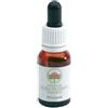 BUSH BIOTHERAPIES PTY LTD Bush Flower Essences Fiori Australiani Bluebell Gocce 15 Ml