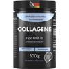 EXVital Collagene Polvere 500 grammi Collagene Bioattivo Idrolizzato Peptidi Proteine