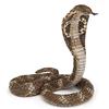 Papo - Statuetta Cobra Realistica - 3 Anni + - Collezione Rettili - Gioco Educativo Animali Selvatici - Idea Regalo Giocattolo Bambina Bambino