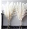 Bannifll 46 pollici 10 steli di Pampas Grass Bianco Decorativo Alto, Piante Secche, Fiori Secchi Naturali per Matrimonio, Decorazione Naturale per la Casa, Erba da Parete, Decorazione Glam