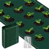 smtfcty Tessuto Non Tessuto per Erbacce Extra Forte, 100 g/m², da Giardino, Contro Le Erbacce, 1 x 5 m, con 10 Ancore, Resistente agli Strappi, Impermeabile, per Giardino, Anti Erbacce