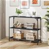 HDANI Consolle Ingresso,Tavolo Console con 2 Ripiani di Rete Metallica,Tavolino da Divano, Corridoio,Entrata,Soggiorno,100 x 30 x 80cm,Stile Industriale,Nero