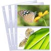 Bakiauli 30 Pezzi Raccoglitore Foto, 2 Scomparti, Buste Trasparenti su Entrambi i Lati, formato A4 per Conservare Foto, Cartoline, Carta Souvenir (60 Tasche)