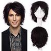 S-noilite Unisex Parrucca Corta Lisci Cosplay Anime Costume Capelli Coda Ondulata Parrucche Complete per Donne Uomini Maschili Halloween Festa in Maschera,Viola scuro