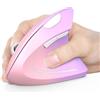 TECKNET Mouse Verticale, 4800 DPI Mouse Wireless Ergonomico, Protegge Il Braccio, Mice Senza Fili 6 Pulsanti per PC, Computer Portatile, Mac, Rosa Viola