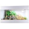 Lucky Reptile Iso Tarrium Basic 120 x 60 x 80 cm