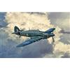 Italeri 2828 1:48 Hurricane MK.II C - modellismo, Kit, Modello Pavimento, Hobby, Colla, Kit Plastica, dettagliato, Grigio