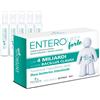 Enterolife - Forte 4 Miliardi Confezione 20 Fiale