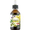 SPAZIO ECOSALUTE Srl Depurativo Reni Potenziato Composto Officinale 100ml - Integratore Alimentare per il Benessere delle Vie Urinarie