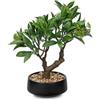 Oairse Pianta artificiale per bonsai in vaso di ceramica, albero di bonsai artificiale, decorazione in vaso per soggiorno, camera da letto, bagno, davanzale