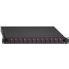 Rutenbeck - Box cavo in fibra ottica - SC duplex mm x 24 - nero, acquamarina, RA
