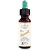 ALCHIMIA BENOIT Fiori di bach benoit larch 10 ml - ALCHIMIA BENOIT - 925392223