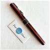 Tombow BW-2000LZA55 Brown Zoom 505bw 0.5mm Rollerball Pen inchiostro a base d...