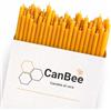 CanBee Candele di cera 50 Candele Sottili in Cera d'Api Naturale Gialla per Meditazione e Rituali - 16 cm x 0,5 cm - Senza Fumo - Durata circa 40 Minuti - Luce Calda Naturale e Atmosfera Armoniosa - CanBee