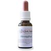 Dr. Jutta Ziegler Dott. Jutta Ziegler CURA Per Orecchie per Cani 20 ml
