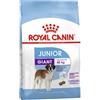Royal Canin Granuli per cani ROYAL CANIN Giant Junior 15 kg