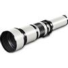 Walimex Teleobiettivo Walimex pro 650-1300 mm 1:8-16 CSC compatibile con Nikon F - Teleobiettivo zoom con messa a fuoco manuale per sensori a pieno formato e APS-C - Attacco completamente in metallo, inclusa borsa di custodia e tappi