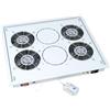 Triton RAC-CH-X04-X3 Unità di ventilazione da 19" per tetto/pavimento, grigio