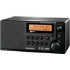 Sangean DDR-31, personale, digitale, DAB+, FM, 5 W, 76,2 mm (3"), LCD