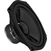 MONACOR SPM-205/8 Diffusore per bassi HiFi