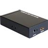 DeLOCK - Videokonverter - HDMI (93238)