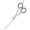 Jaguar HS Schere 5,75 46575 JP 10