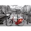 EDUCA BORRAS Puzzle Educa. Amsterdam in bianco e nero 3000 Teile
