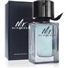 Burberry - Mr. Burberry EDT 100ml