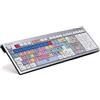 Logickeyboard LKB-PPROCC-AJPU-IT Tastiera QWERTY USB inglese multicolore (LKB-PPROCC-AJPU-EN)