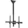 StarTech Supporto TV Startech FPCEILPTBSP