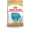 Royal Canin Cibo secco per cani Royal Canin SHN Razza Labrador Junior - 12 kg