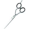 Jaguar HS 6,5 9265 CJ4 Plus Silver Line, forbici professionali per parrucchieri