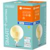 LEDVANCE SMART+ globo 60W/825 cl fil oro E27 dim Bluetooth