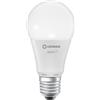 OSRAM Ledvance LED Filament Smart+ ST64 Edison 6W = 60W E27 chiaro 810lm bianco caldo 2700K Dimmerabile App Google Alexa Apple HomeKit Bluetooth