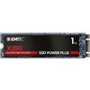 Emtec SSD M.2 Sata X250 1TB Interno