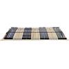vidaXL Rete a doghe, 2 pezzi, con 42 doghe, 7 zone, 70x200 cm