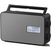 Panasonic-RF-D30BT - Radio DAB portatile - 2 Watt - Nero