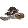 Sonstige Verlage Wild Republic - Peluche - Mamma e bambino - Tartaruga marina