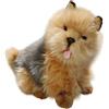 Carl Dick Australian Terrier seduto ca. 35cm 2476 Peluche, peluche, peluche
