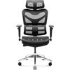 Diablo V-Commander Sedia ergonomica da ufficio Sedia direzionale Bracciolo 3D Supporto lombare Poggiatesta regolabile e sedile in rete Nero
