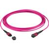 efbe Schott EFB-Elektronik MTP¬-F/MTP¬-F Cavo patch a matrice a 12 fibre OM4, LSZH erika-violet, Codice B, 2 m Produttore: EFB Elektronik (MTPF12MTPFOM4-2)